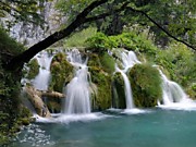 Долина "33 водопада" в Сочи